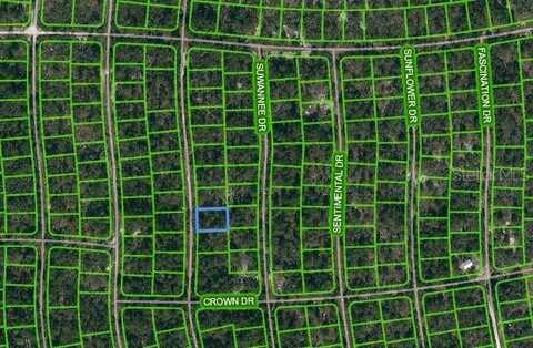249 SUNNYSIDE DRIVE, LAKE PLACID, FL 33852