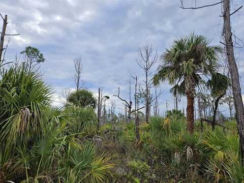 8228 LEAFY WAY, PORT CHARLOTTE, FL 33981