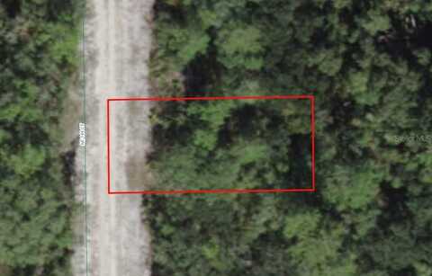 0 NE 144TH COURT, SALT SPRINGS, FL 32134