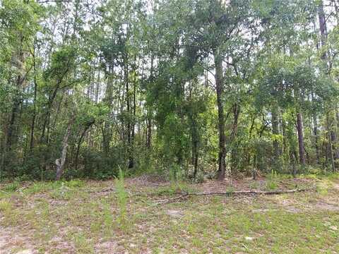 00 SW 80TH AVENUE, OCALA, FL 34473