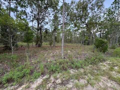 000 NW COLUMBINE AVENUE, DUNNELLON, FL 34431