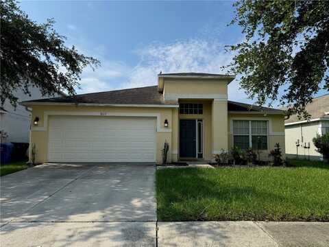 8213 CARRIAGE POINTE DRIVE, GIBSONTON, FL 33534