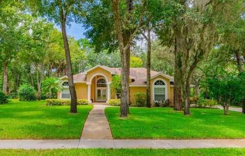 5831 AUDUBON MANOR BOULEVARD, LITHIA, FL 33547