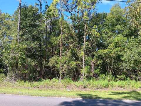 00 NE 126TH AVENUE, WILLISTON, FL 32696