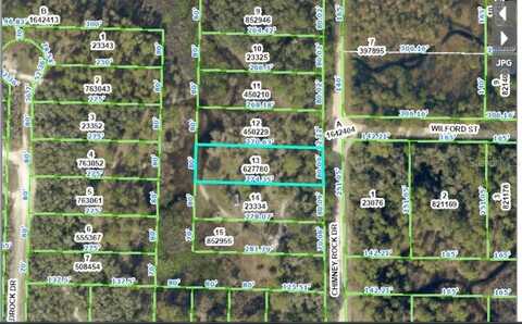 CHIMNEY ROCK DRIVE, WEBSTER, FL 33597