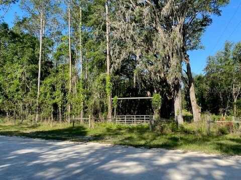 Tbd SW HENDERSON TERRACE, FORT WHITE, FL 32038