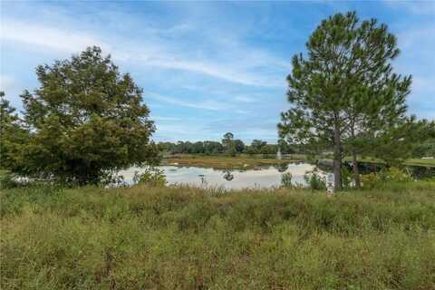 CR-473 ROAD, LEESBURG, FL 34788