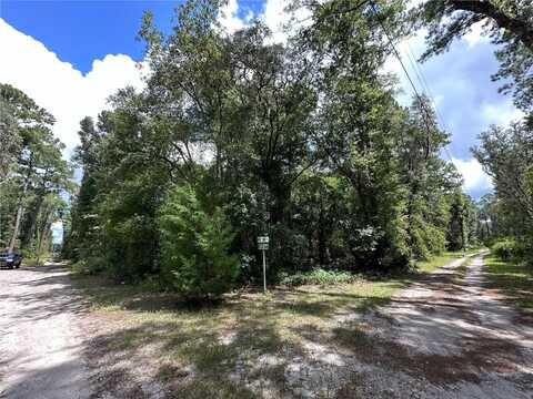 Tbd NE 166 STREET, FORT MC COY, FL 32134