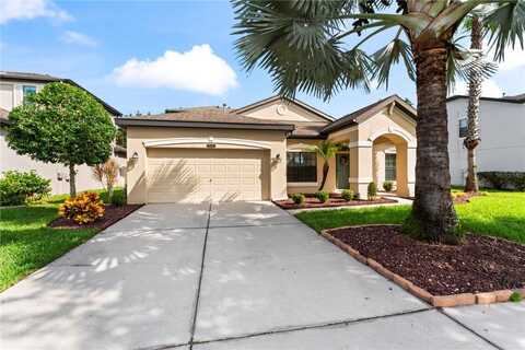 8446 BLUEVINE SKY DRIVE, LAND O LAKES, FL 34637