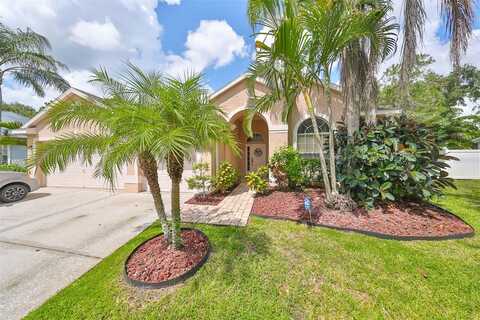 12031 MOUNTBATTEN DRIVE, TAMPA, FL 33626