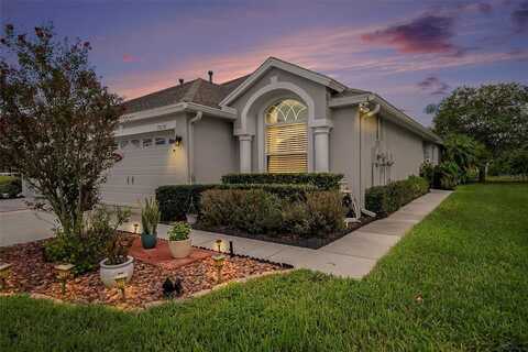 19238 GOPHERTRAIL PLACE, LAND O LAKES, FL 34638