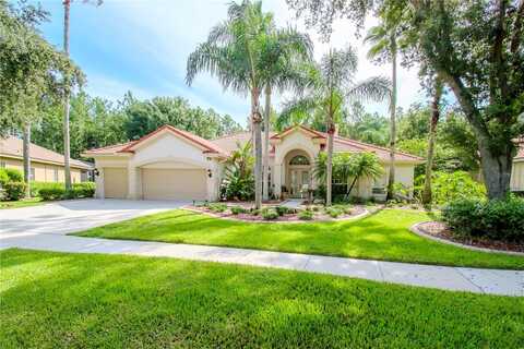 17812 ARBOR GREENE DRIVE, TAMPA, FL 33647