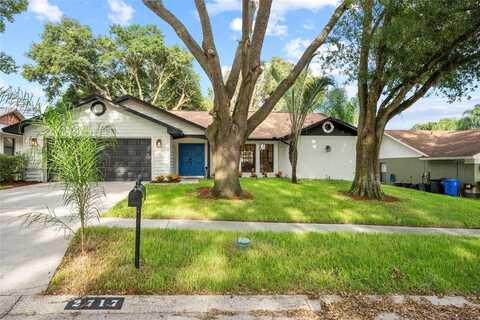 2717 BRIARPATCH DRIVE, VALRICO, FL 33596