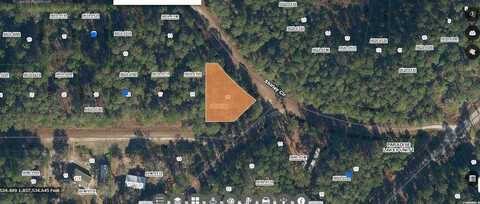 PARADISE LAKES UNIT 1, GEORGETOWN, FL 32139