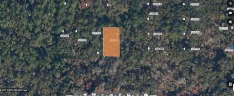 PARADISE LAKES AVENUE, GEORGETOWN, FL 32139
