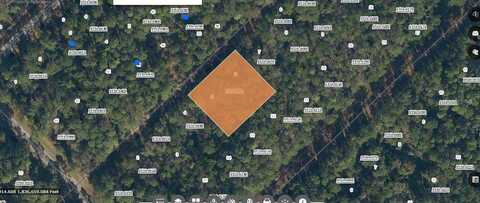 209 SE PARADISE LAKES UNIT 1 STREET, GEORGETOWN, FL 32139