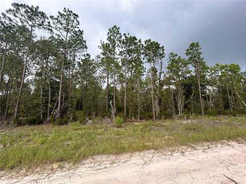 Tbd NE 131ST COURT, WILLISTON, FL 32696