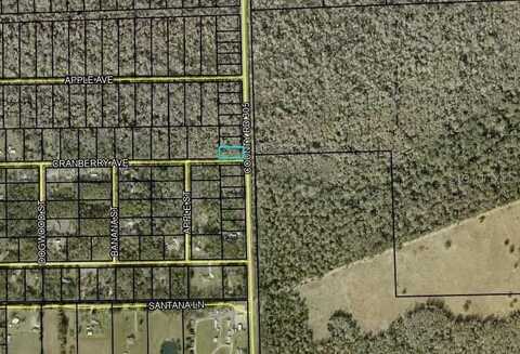 2242 CR-305, BUNNELL, FL 32110