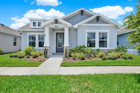 28590 SWEET PERSIMMON DRIVE, WESLEY CHAPEL, FL 33543