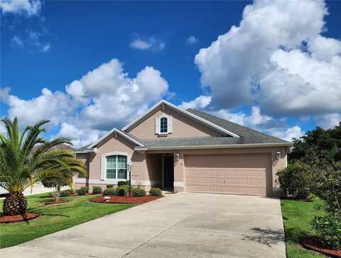 1429 BLUEBEARD COURT, THE VILLAGES, FL 32163