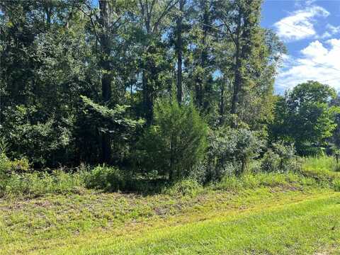 4722 NW 234TH AVENUE, ALACHUA, FL 32615