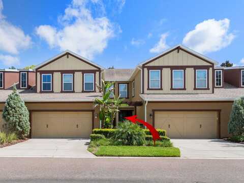 135 VILLA PRESERVE AVENUE, LUTZ, FL 33548