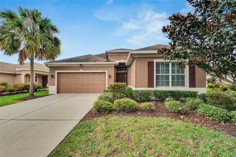 17425 CHELSEA DOWNS CIRCLE, LITHIA, FL 33547