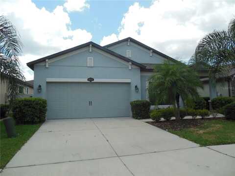 11515 SCARLET IBIS PLACE, RIVERVIEW, FL 33569