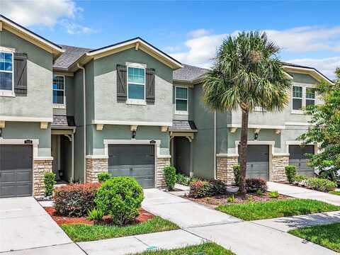 11650 CAMBIUM CROWN DRIVE, RIVERVIEW, FL 33569