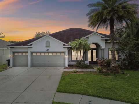 3205 HANGING VINE COURT, LAND O LAKES, FL 34639