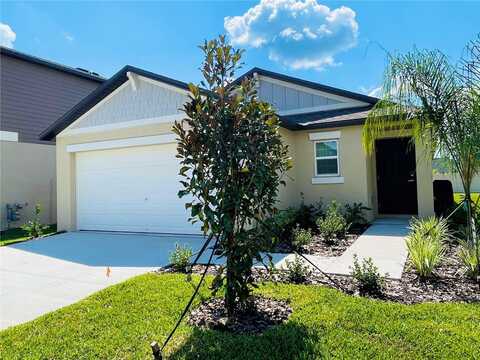 22238 BLAZING STAR RUN, LAND O LAKES, FL 34637