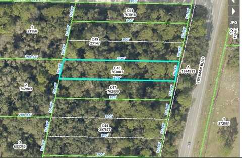 TREIMAN BOULEVARD, WEBSTER, FL 33597