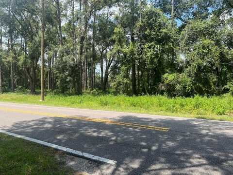 Lot #16 RICHARDSON BOULEVARD, WEBSTER, FL 33597