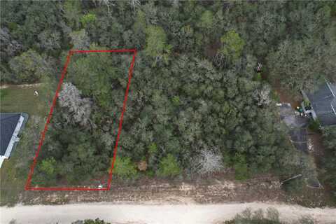 3002 WOODHILL STREET, INVERNESS, FL 34452