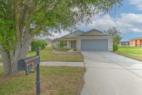 11305 COCONUT ISLAND DRIVE, RIVERVIEW, FL 33569