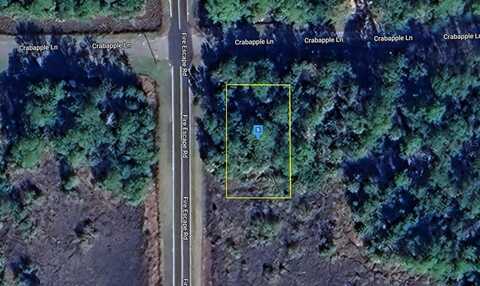 73 CRABAPPLE LANE, SAINT MARKS, FL 32355