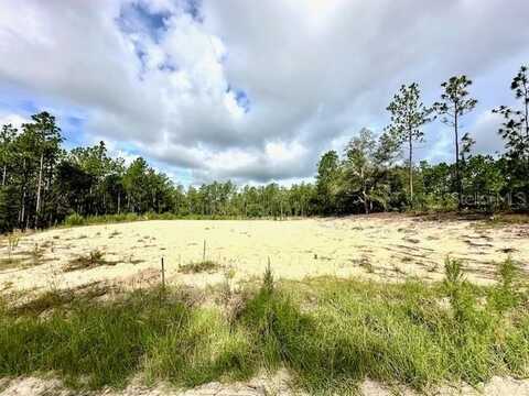 6106 SW 127TH AVENUE ROAD, OCALA, FL 34481