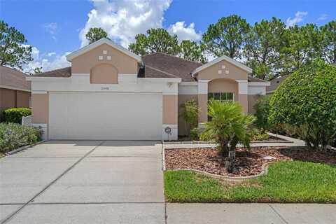 5548 CANNONADE DRIVE, WESLEY CHAPEL, FL 33544