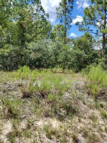 0 SW COTTONWOOD LANE, DUNNELLON, FL 34431