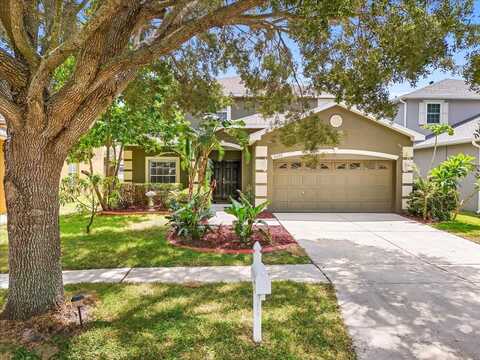 11135 CREEK HAVEN DRIVE, RIVERVIEW, FL 33569