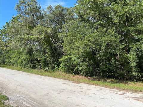 Tbd SE 140TH AVENUE, MORRISTON, FL 32668