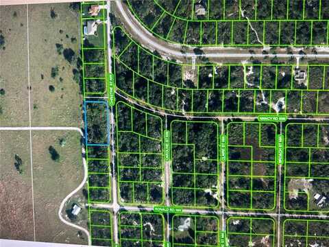 316 CHRISTINE STREET NW, LAKE PLACID, FL 33852