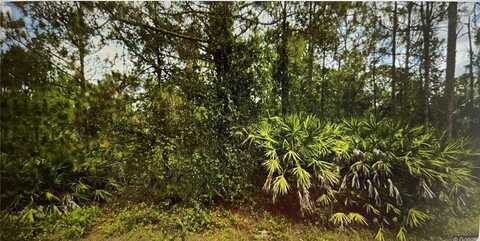 undefined, LEHIGH ACRES, FL 33972