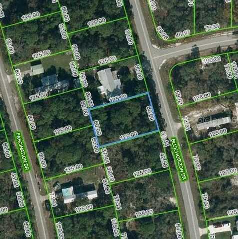 112 BLUE HORIZON DRIVE, LAKE PLACID, FL 33852