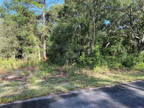 SW BREEZY POINT DRIVE, DUNNELLON, FL 34431