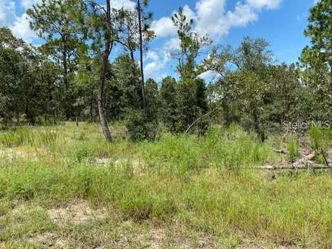 SW NECTARINE LANE, DUNNELLON, FL 34431