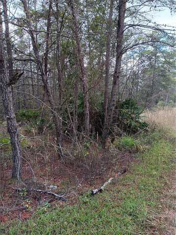 5144 W OSMOND LANE, DUNNELLON, FL 34433