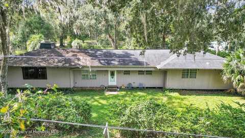 3230 CR 421, LAKE PANASOFFKEE, FL 33538