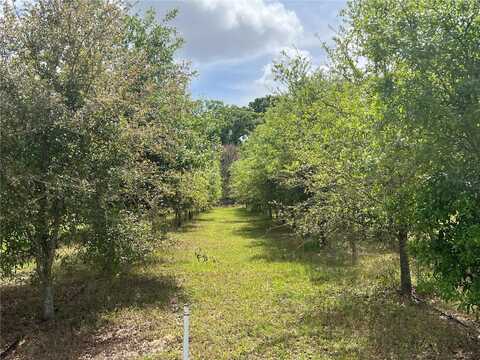 300 E HIGHWAY 316, CITRA, FL 32113