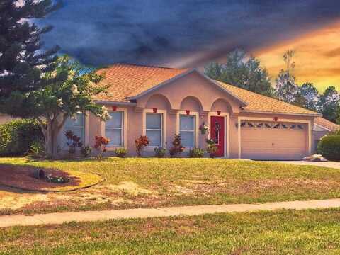 9905 WATER FERN CIRCLE, CLERMONT, FL 34711